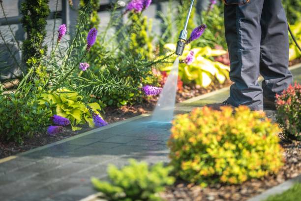 Best Winterizing Services  in Corpus Christi, TX